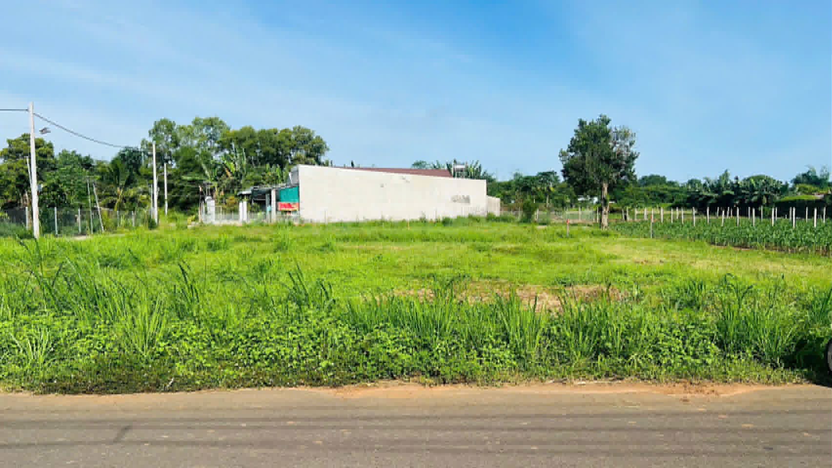 Cần bán Đất đường 55, Thị trấn Đất Đỏ, Diện tích 123m², Giá 860 Triệu 3