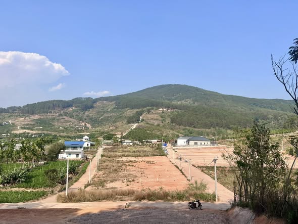 Cần bán Đất đường Tỉnh lộ 725, Thị trấn Nam Ban, Diện tích 300m², Giá 3 Triệu/m²