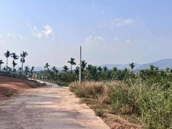 Cần bán Đất đường Tỉnh lộ 725, Thị trấn Nam Ban, Diện tích 300m², Giá 3 Triệu/m² 2