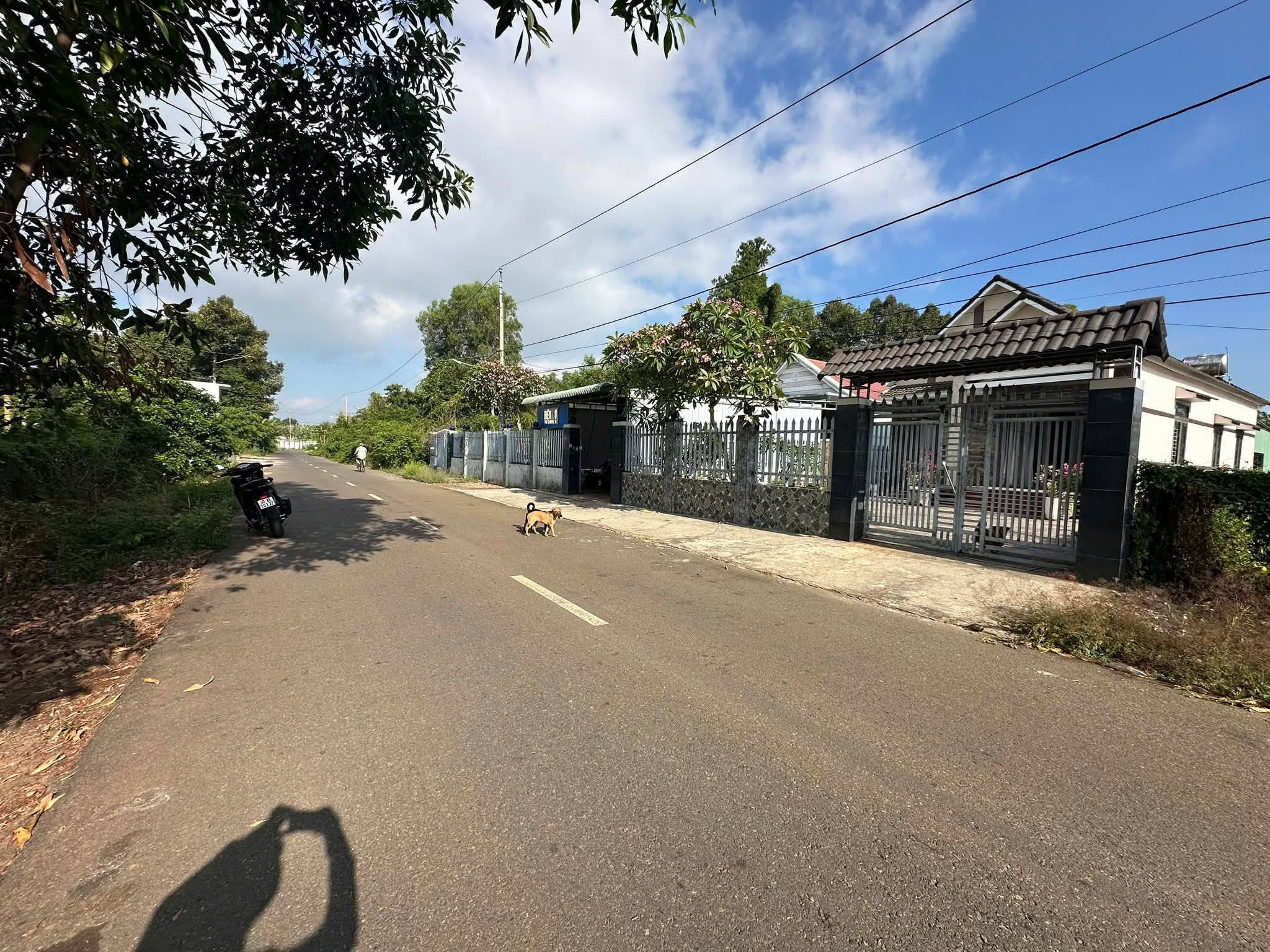 BÁN ĐẤT BIỆT THỰ VƯỜN – MẶT TIỀN ĐƯỜNG SỐ 7, PHƯỜNG TAM LONG, TP.HCM 2