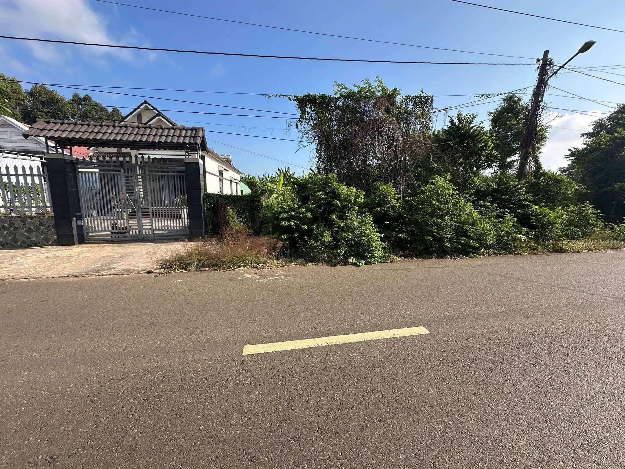 BÁN ĐẤT BIỆT THỰ VƯỜN – MẶT TIỀN ĐƯỜNG SỐ 7, PHƯỜNG TAM LONG, TP.HCM 3