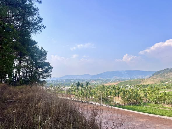 Cần bán Đất đường Tỉnh lộ 725, Thị trấn Nam Ban, Diện tích 300m², Giá 3 Triệu/m² 3