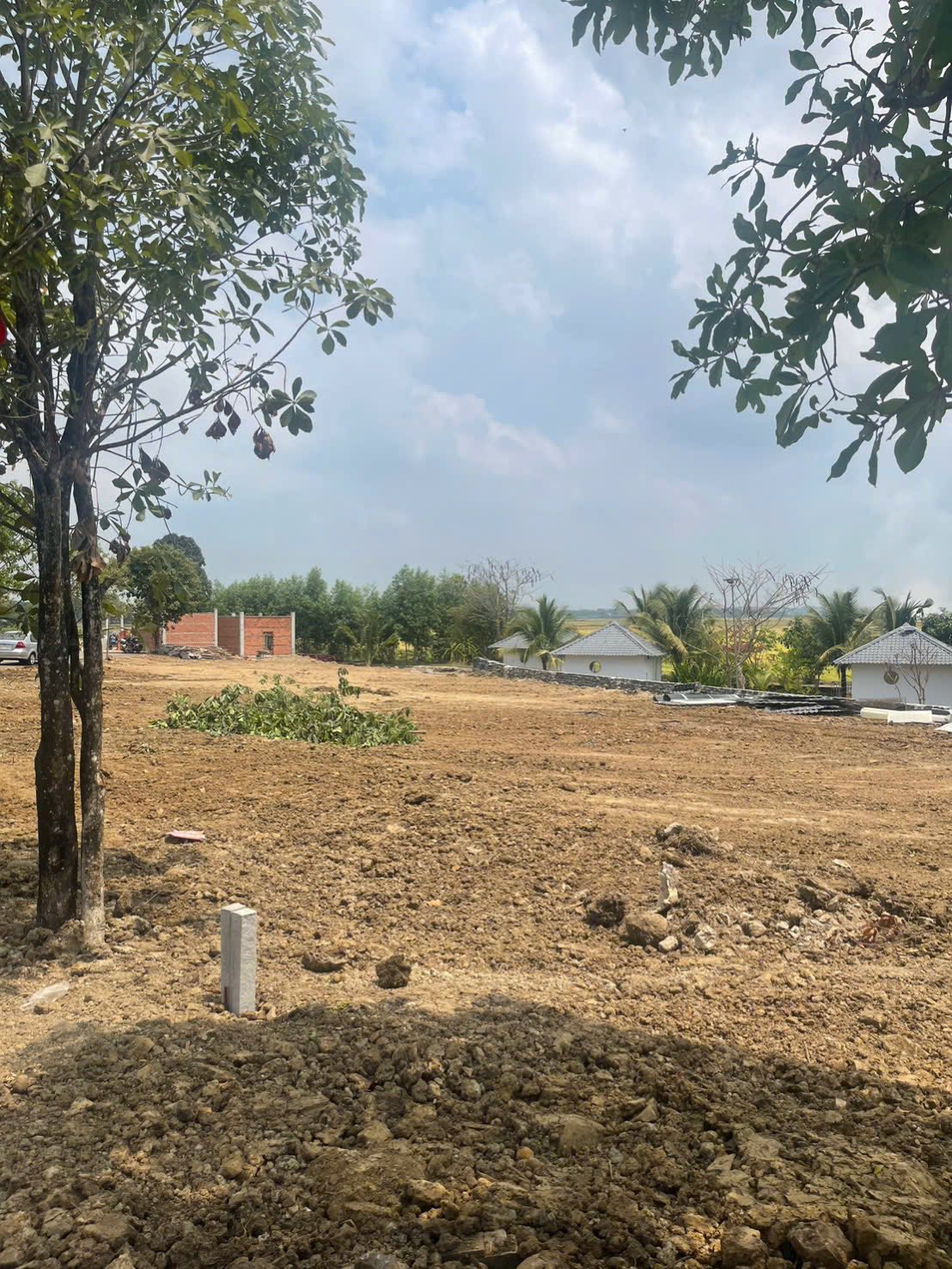 Giỏ Hàng Mới Giành cho Quý Khách Hàng thích không khí Đồng Quê Sông Nước. 4