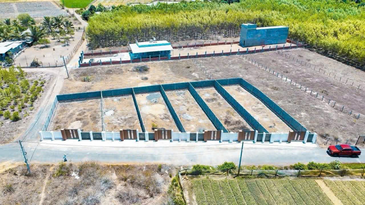 Cần bán Đất đường Tỉnh lộ 44B, Thị trấn Phước Hải, Diện tích 199m², Giá 970 Triệu 5