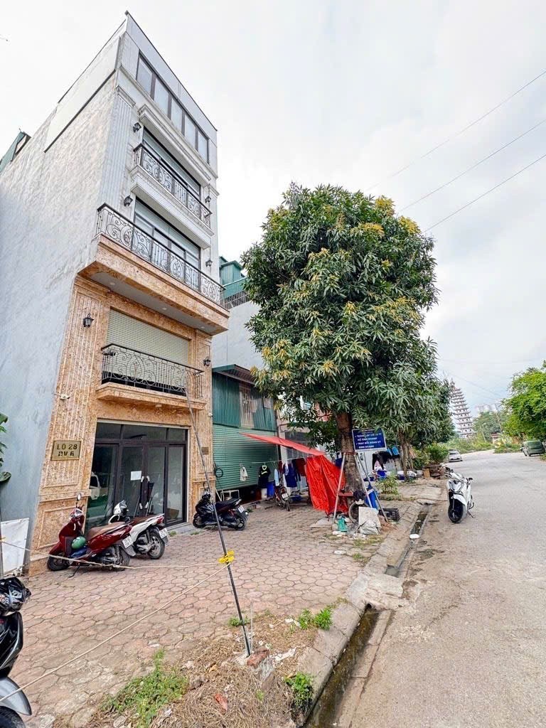 Bán Gấp -  Đất phân lô KDT LINH Đàm giá siêu rẻ 65m2 sổ đỏ – 16.99 tỷ