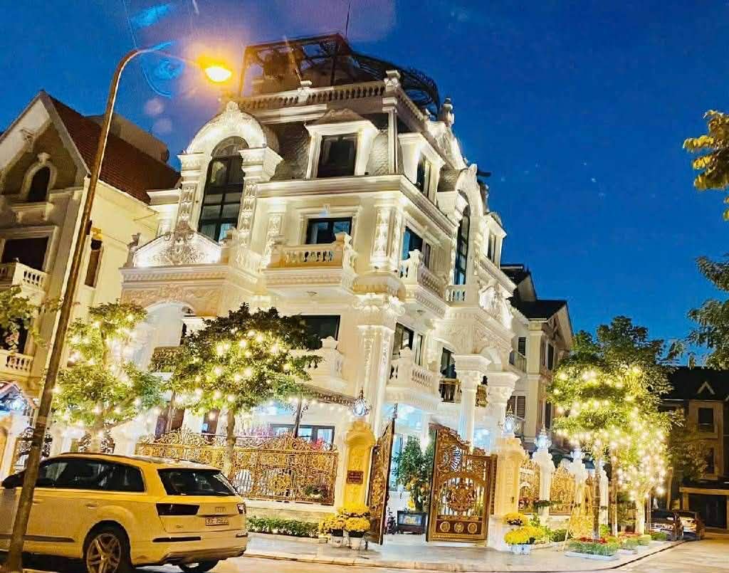 Biệt thự Việt Hưng, lô góc, 4 thoáng, sân vườn, hồ cá Koi, an ninh tuyệt đối 2