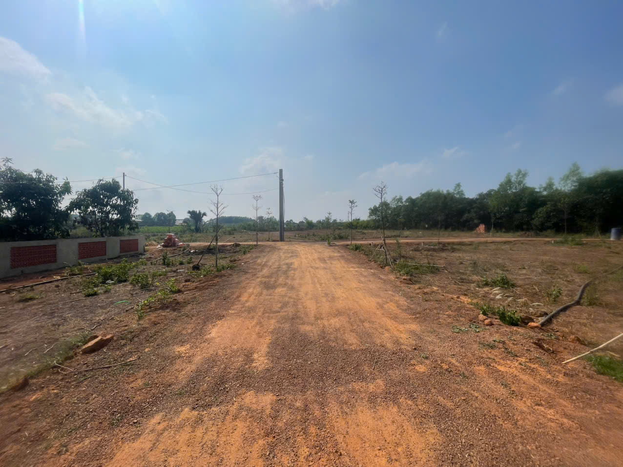 Cần bán Trang trại, rẫy, vườn đường Đoàn Thị Điểm, Thị trấn Vĩnh An, Diện tích 500m², Giá 480 Triệu 4