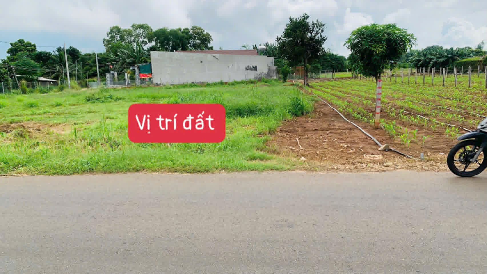 Cần bán Đất đường 55, Thị trấn Đất Đỏ, Diện tích 123m², Giá 860 Triệu 4