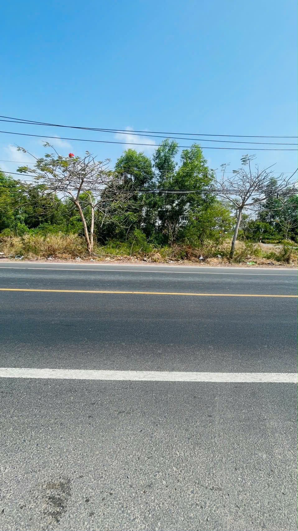 Cần bán Đất đường Võ Văn Kiệt, Xã Lộc An, Diện tích 186m², Giá 1.65 Tỷ 2