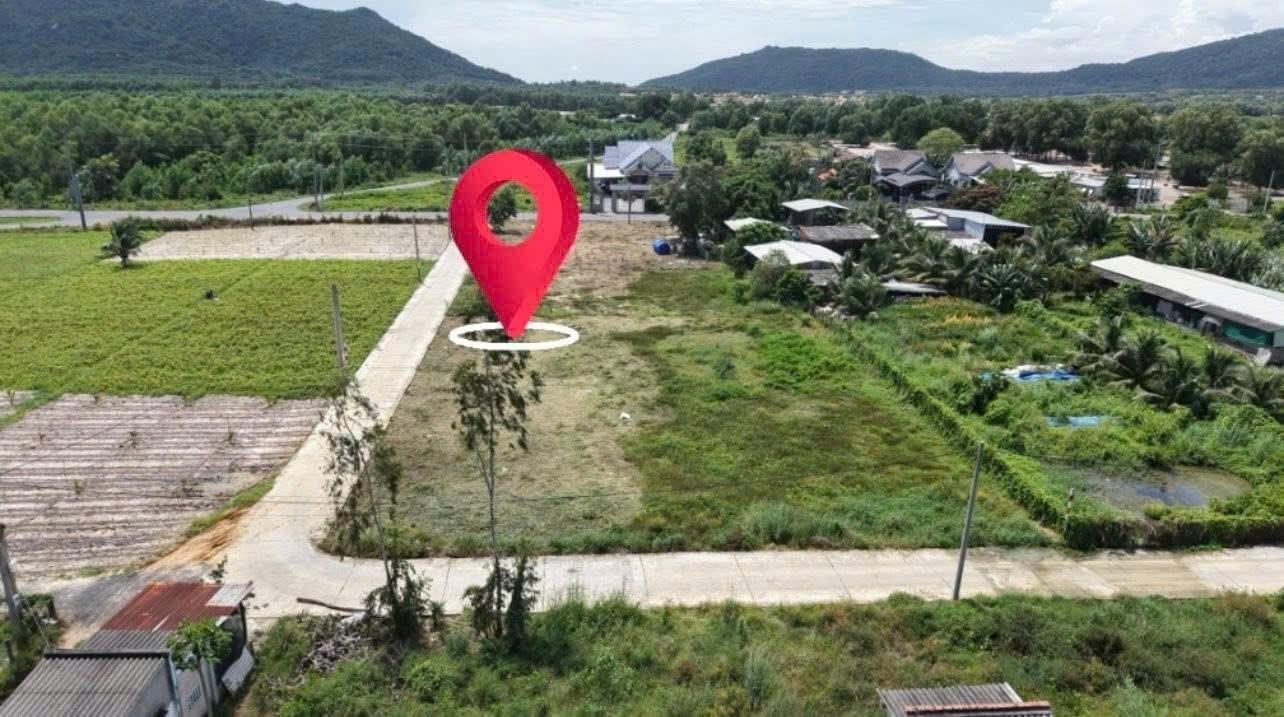 Cần bán Đất Thị trấn Phước Hải, Đất Đỏ, Diện tích 317m², Giá 900 Triệu 4