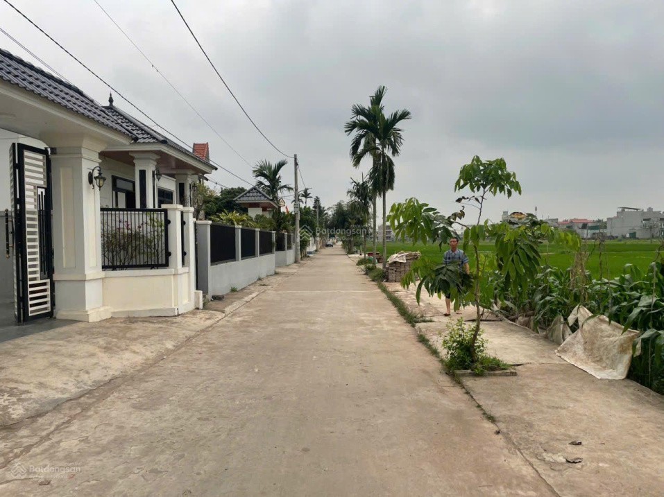 BÁN ĐẤT THÔN QUANG TRUNG XÃ QUỲNH PHỤ - CÁCH KCN SAO VÀNG 1P ĐI XE - GIÁ 690 TRIỆU 4