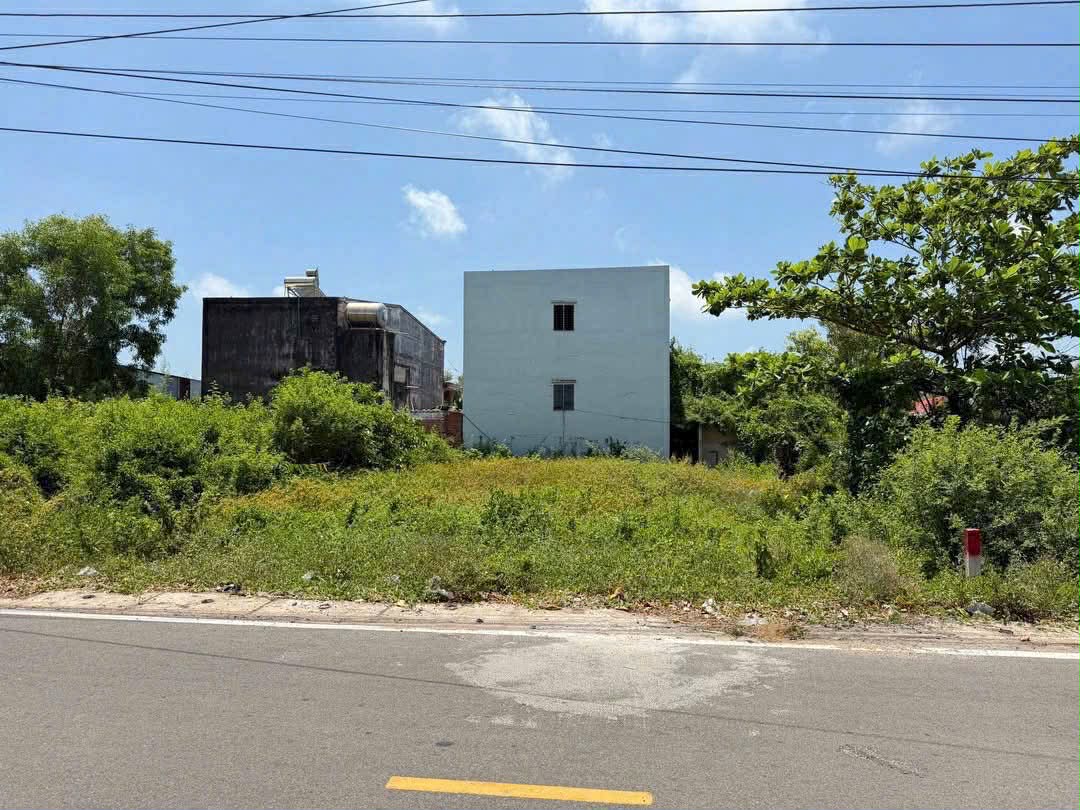 Cần bán Đất đường Võ Văn Kiệt, Xã Lộc An, Diện tích 200m², Giá Thương lượng 4