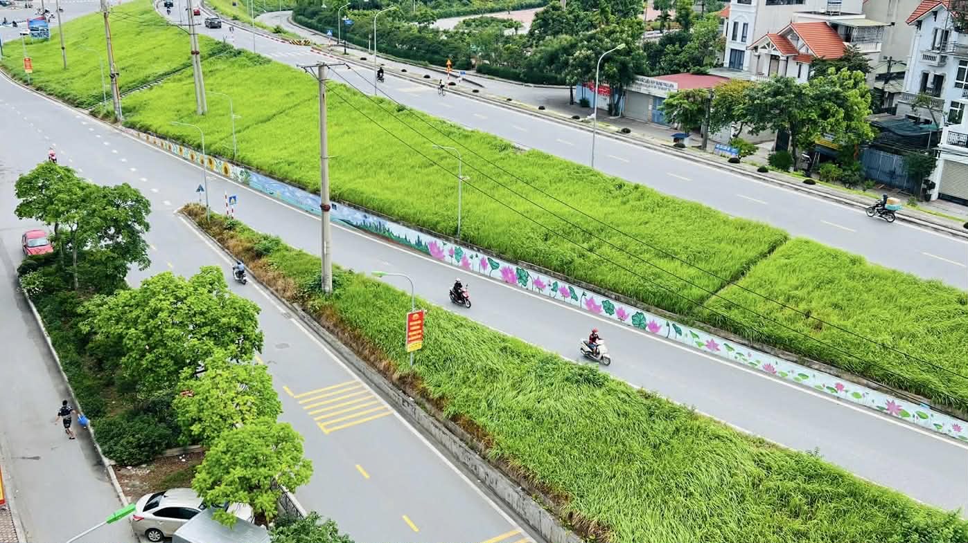 nhà mặt phố Lâm Du, 240m, mặt tiền 6m, nở hậu, cách cầu Trần Hưng Đạo 200m 3