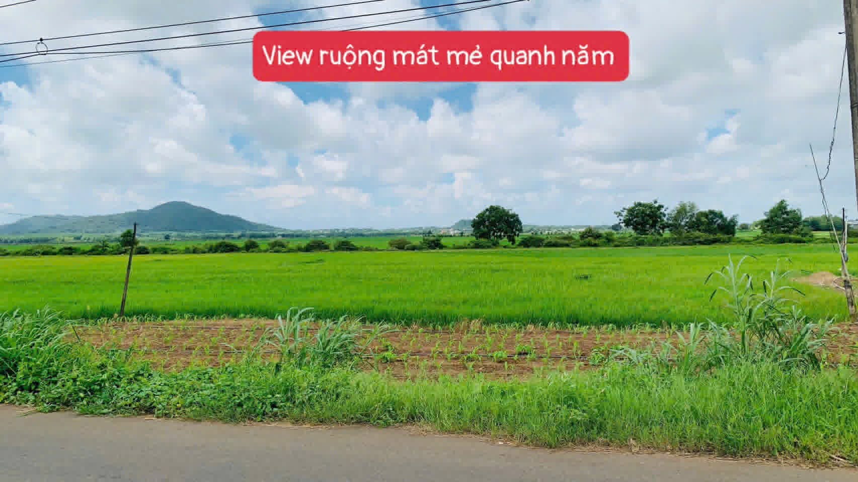 Cần bán Đất đường 55, Thị trấn Đất Đỏ, Diện tích 123m², Giá 860 Triệu 5