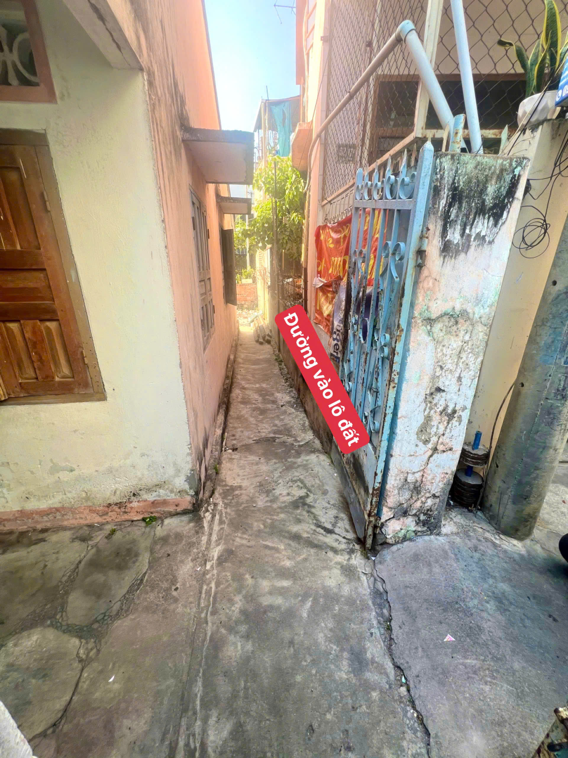 Đất Hẻm Đồng Nai – 49m² Full Thổ – Gần KĐT Phước Hải – 2.3 Tỷ 5