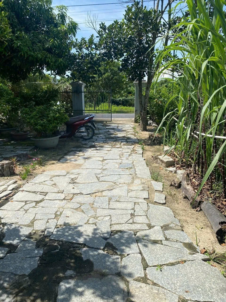 Bán nhà vườn Suối Tiên mặt tiền đường nhựa liên thôn - tặng vườn cây trái đủ loại 3