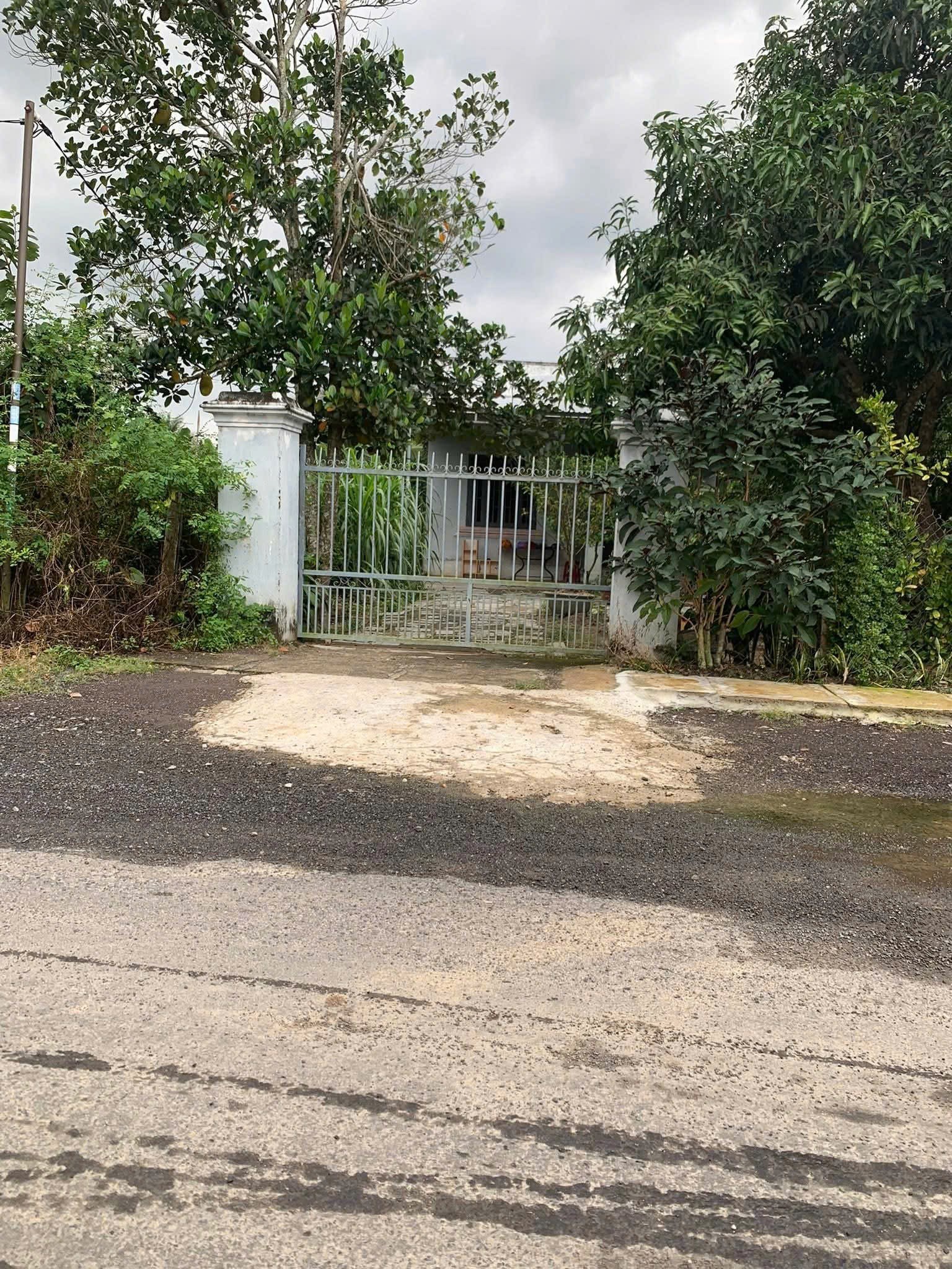 Bán nhà vườn Suối Tiên mặt tiền đường nhựa liên thôn - tặng vườn cây trái đủ loại 7