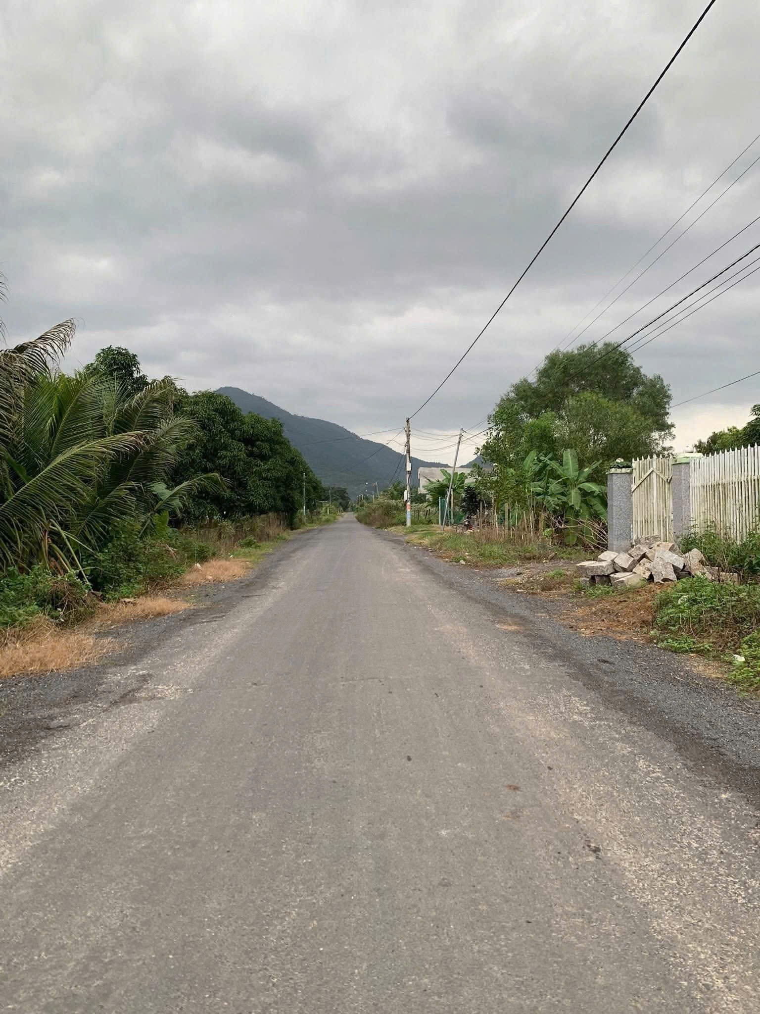 Bán nhà vườn Suối Tiên mặt tiền đường nhựa liên thôn - tặng vườn cây trái đủ loại 4