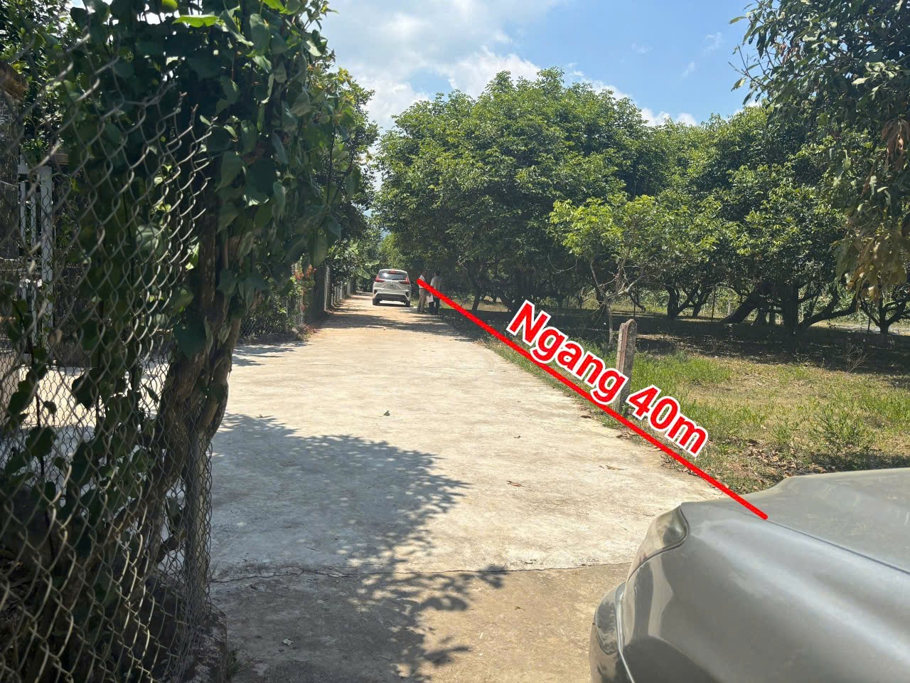 Bán đất Diên Lâm full thổ cư gần Hương Lộ 39 - ngang 40 x dài 20m vuông vắn tách được 8 lô