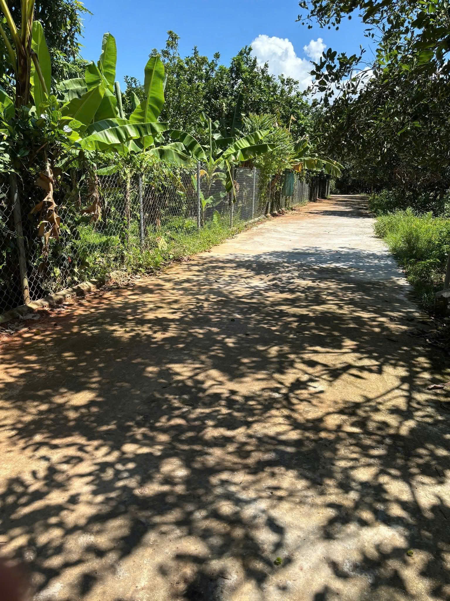 Bán đất Diên Lâm full thổ cư gần Hương Lộ 39 - ngang 40 x dài 20m vuông vắn tách được 8 lô 5