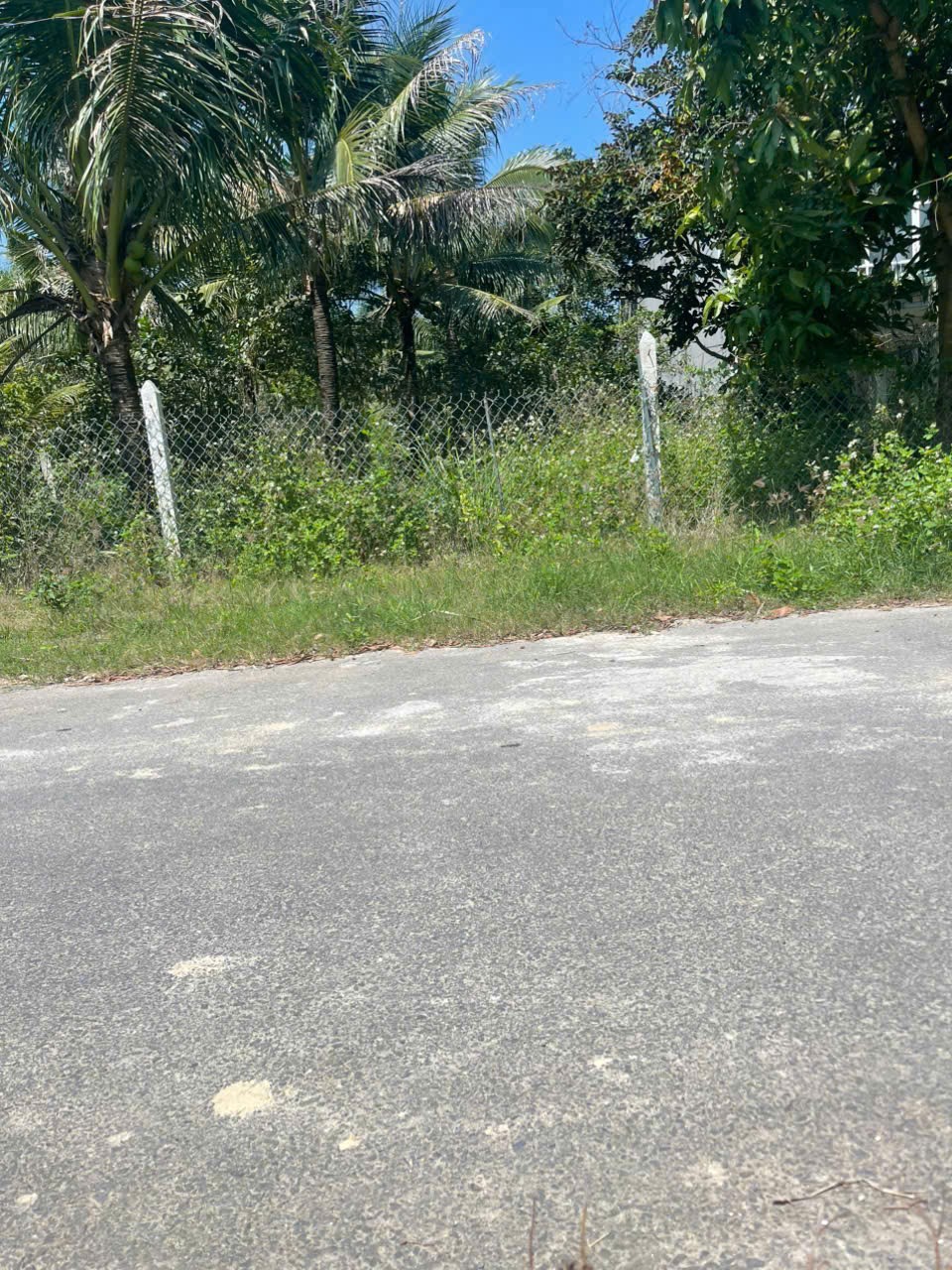 Bán đất Diên Phước mặt đường Phò Thiện full thổ cư sát bên Hương Lộ 39 2