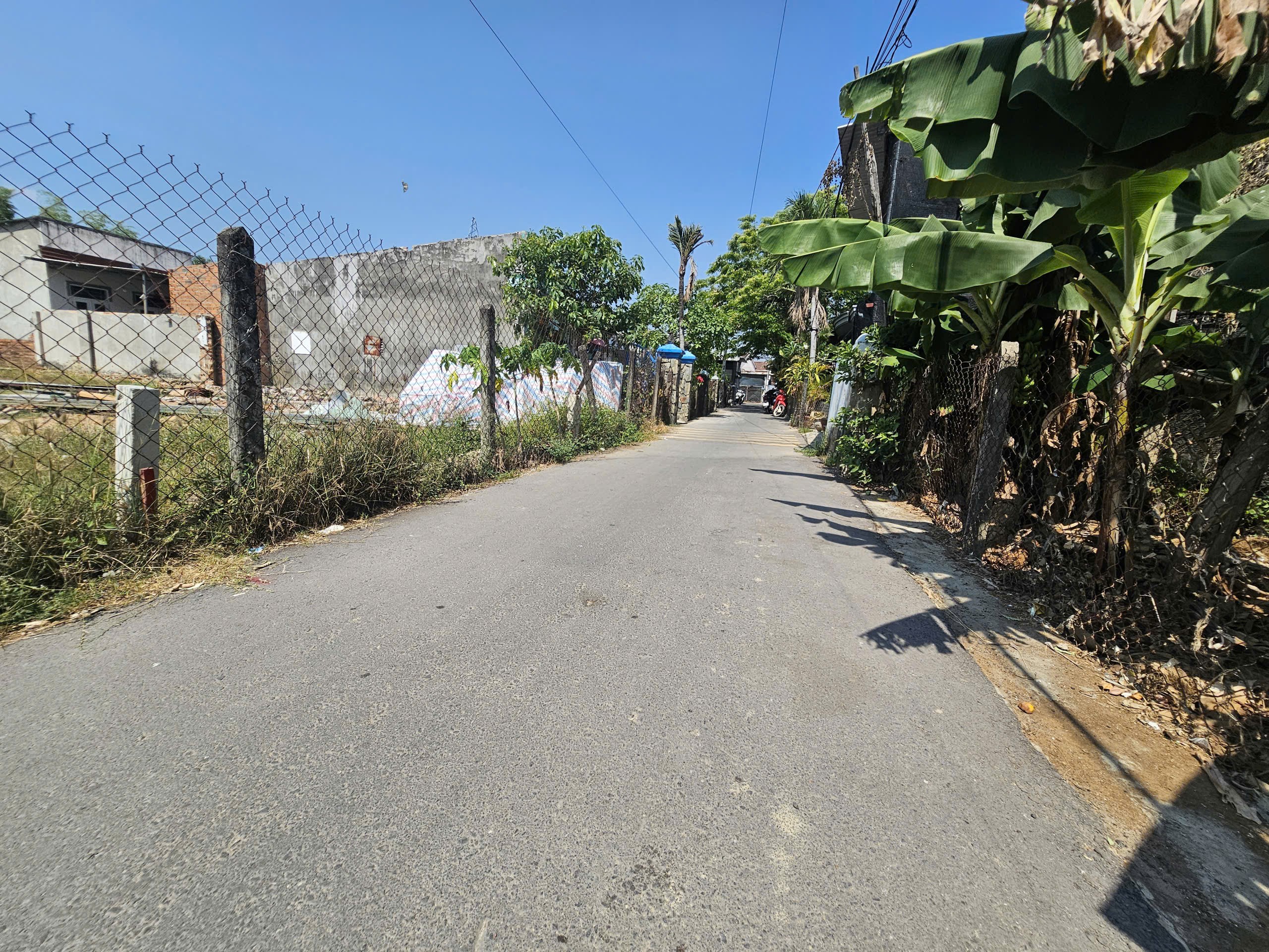 Bán đất Diên Hoà thôn Quang Thạnh đường Lạc Hoà 2 - dân cắt bán sổ hồng sẵn đường thông 2