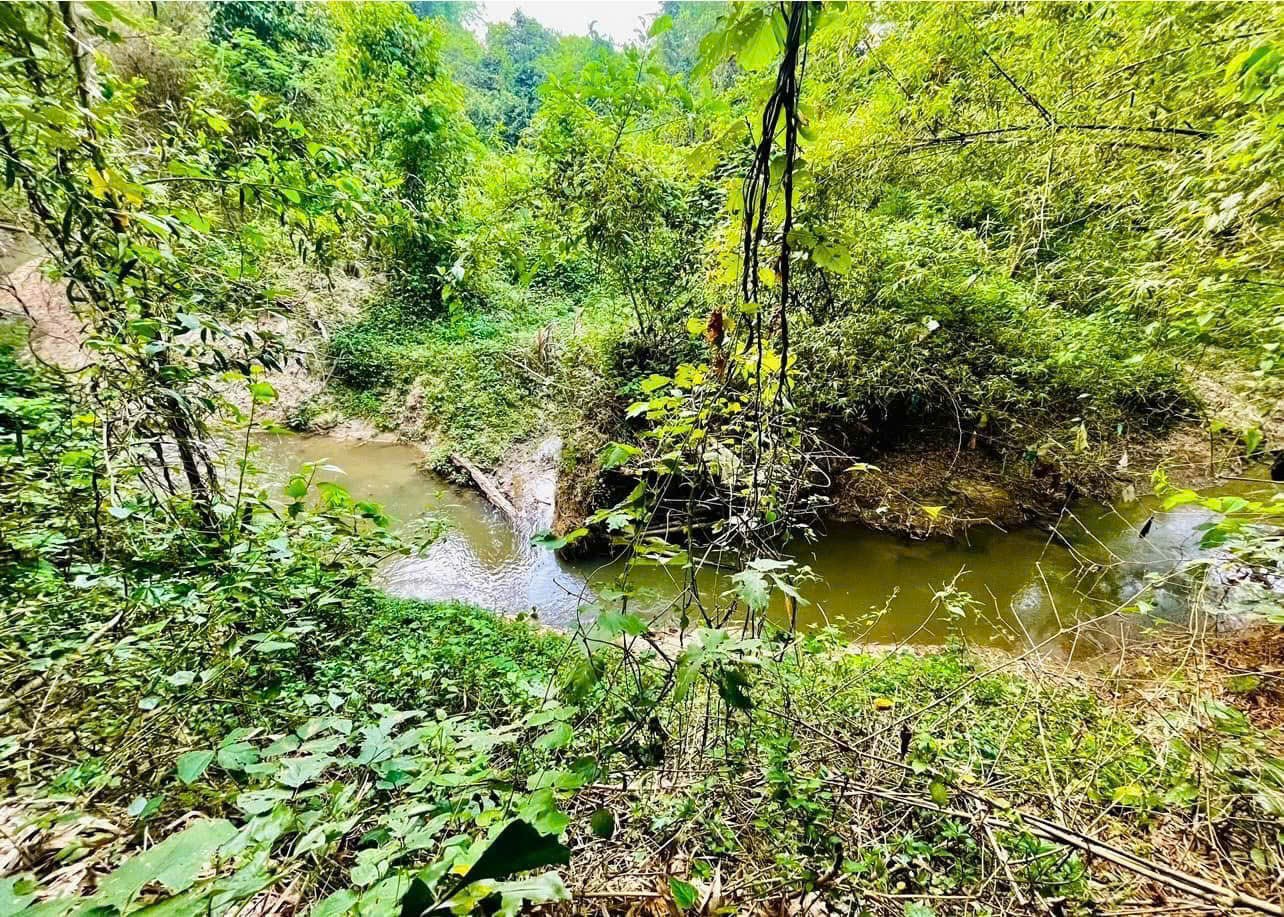 Bán đất đất Suối Tiên giáp suối có thổ mặt tiền đường nhựa gần Uỷ ban xã - view cánh đồng 5