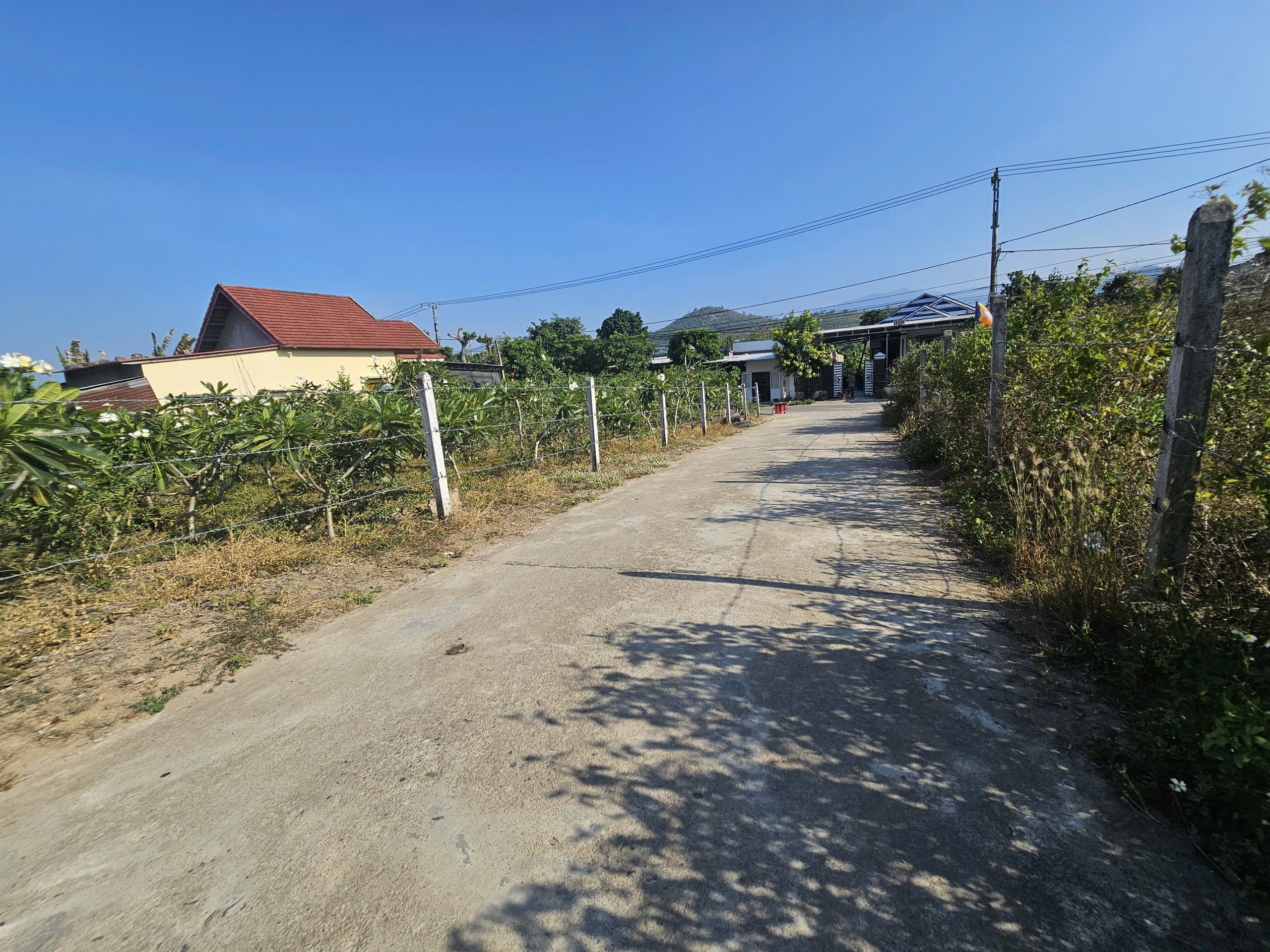 Bán đất Diên Đồng thôn Đồng Trăn 1 giá rẻ full thổ cư đường thông (thôn 2 cũ) 4