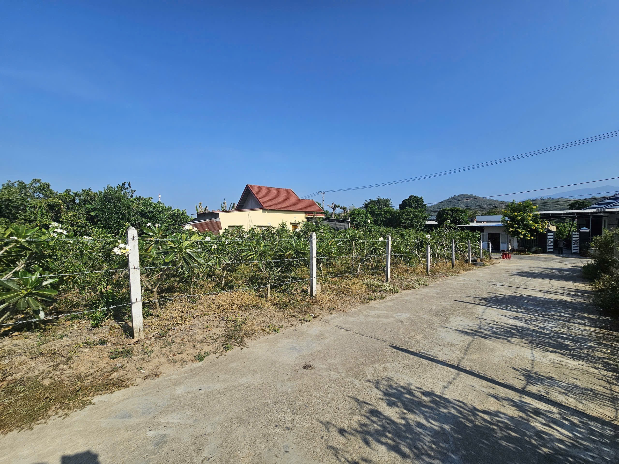 Bán đất Diên Đồng thôn Đồng Trăn 1 giá rẻ full thổ cư đường thông (thôn 2 cũ) 5