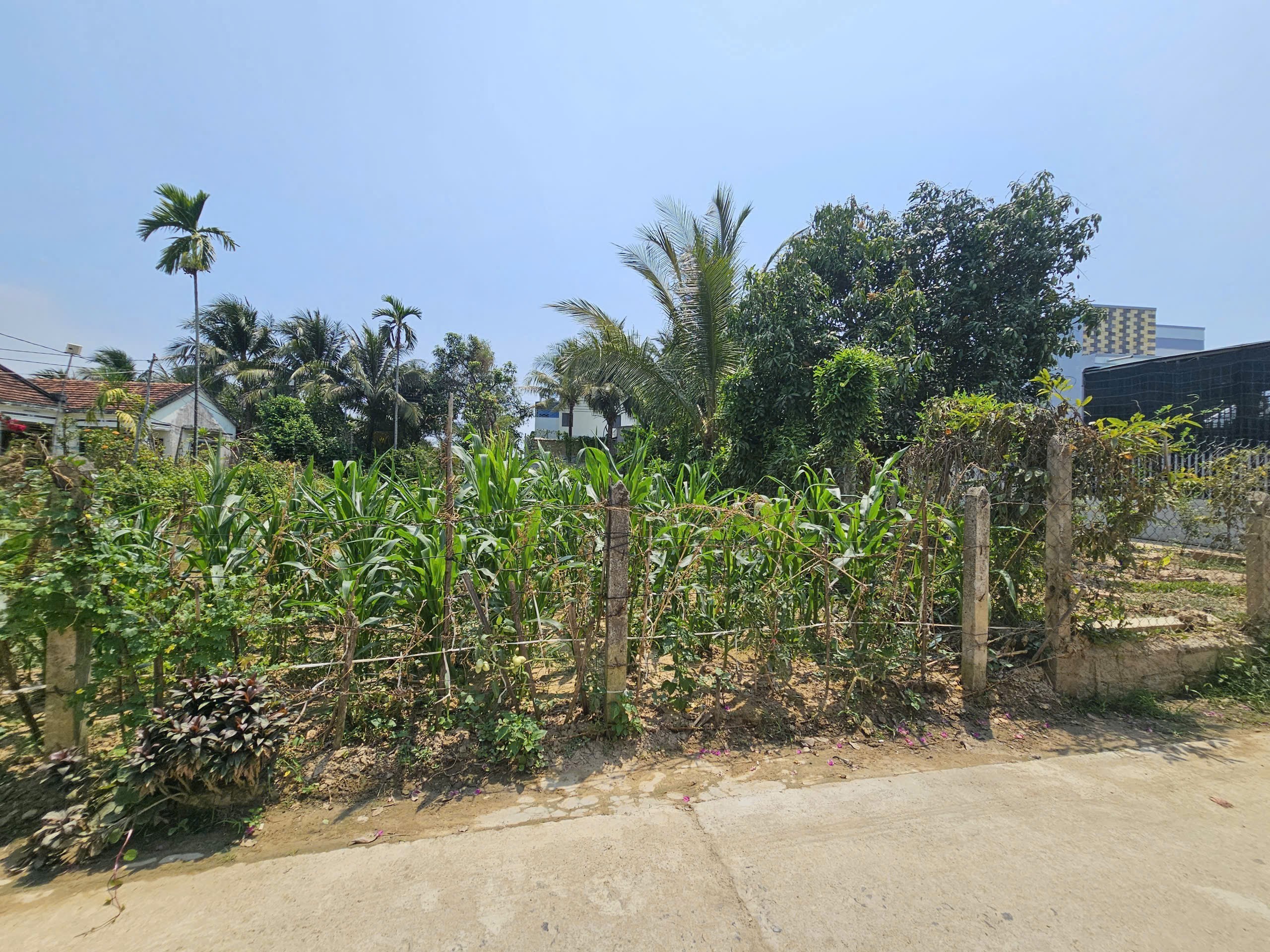 Bán đất Diên Phú thôn 2 đường thông ra Hương Lộ 45 - ngang 14m tách được 2 lô 4