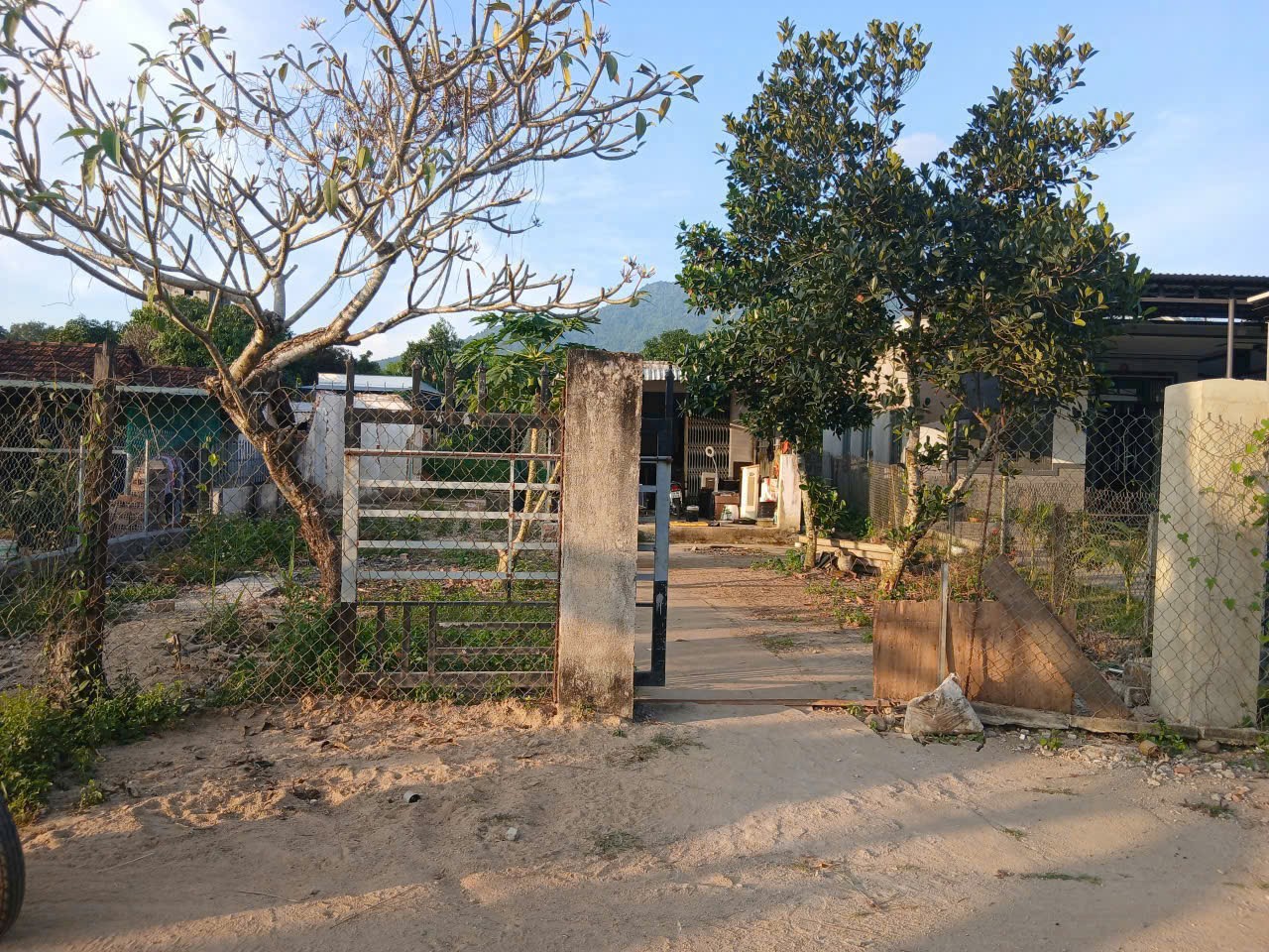 Bán căn nhà vườn Diên Lâm mặt đường nội thôn - tặng vườn cây trái đủ loại