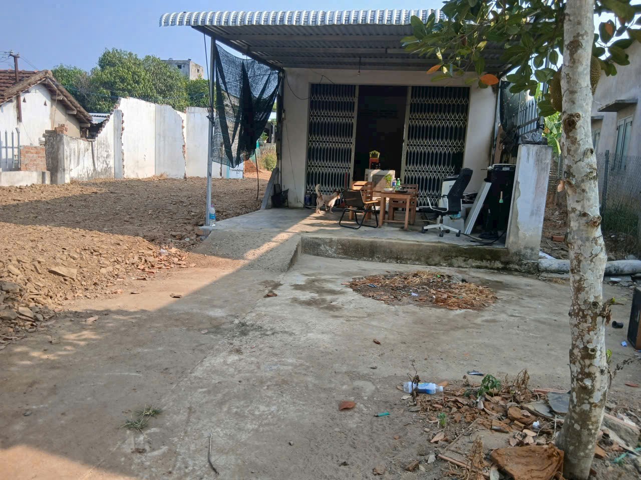 Bán căn nhà vườn Diên Lâm mặt đường nội thôn - tặng vườn cây trái đủ loại 3