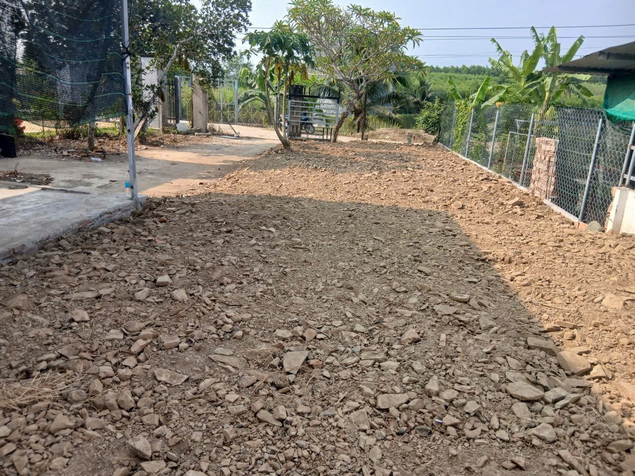 Bán căn nhà vườn Diên Lâm mặt đường nội thôn - tặng vườn cây trái đủ loại 6