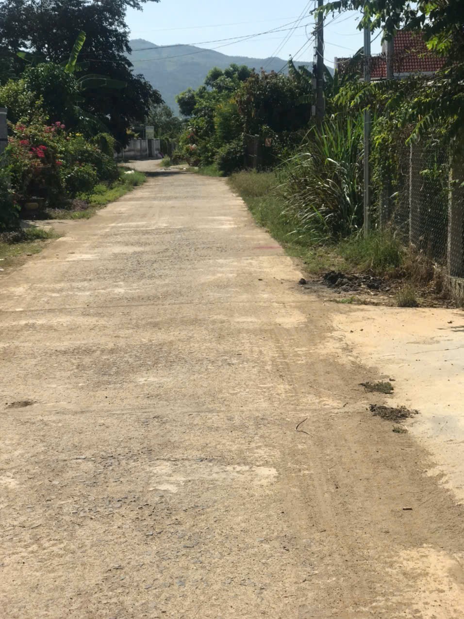 Bán căn nhà vườn Diên Lâm mặt đường nội thôn - tặng vườn cây trái đủ loại 11