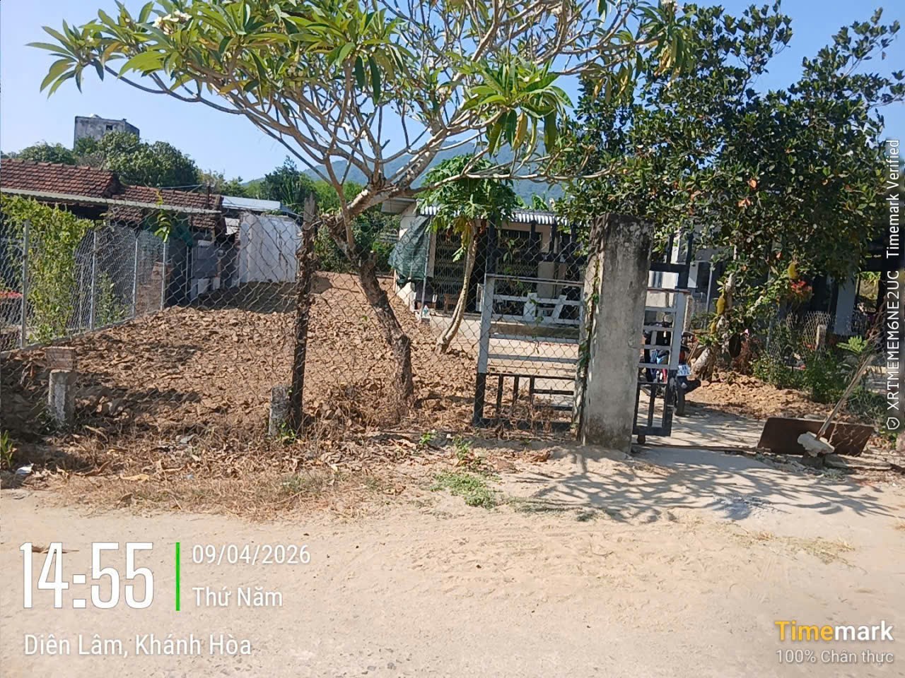 Bán căn nhà vườn Diên Lâm mặt đường nội thôn - tặng vườn cây trái đủ loại 12