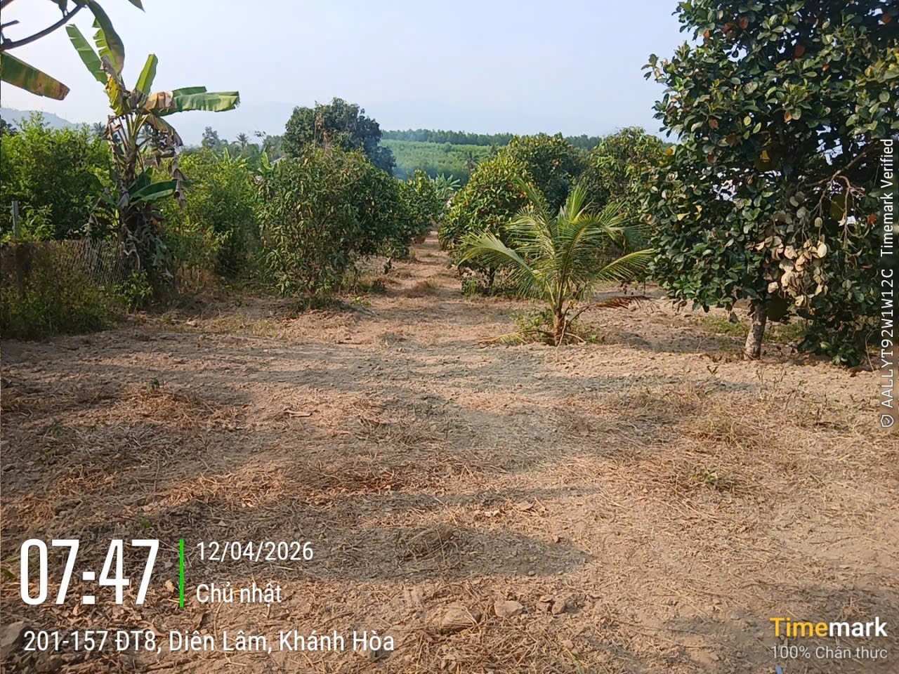 Bán căn nhà vườn Diên Lâm mặt đường nội thôn - tặng vườn cây trái đủ loại 13