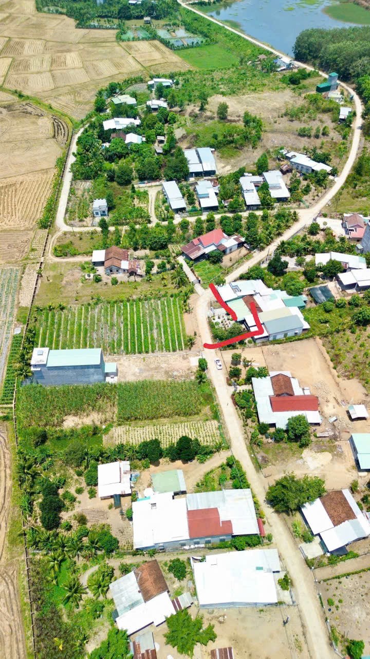 Bán căn nhà vườn Diên Lâm mặt đường nội thôn - tặng vườn cây trái đủ loại 14