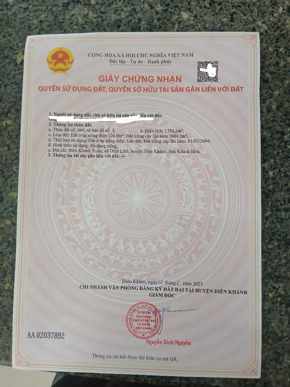 Bán căn nhà vườn Diên Lâm mặt đường nội thôn - tặng vườn cây trái đủ loại 15