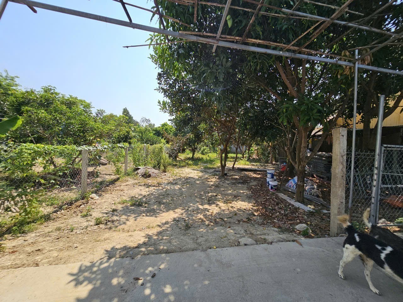 Bán đất Diên Lạc full thổ cư rộng rãi xây nhà vườn - vị trí đối diện ủy ban xã đi vào 6