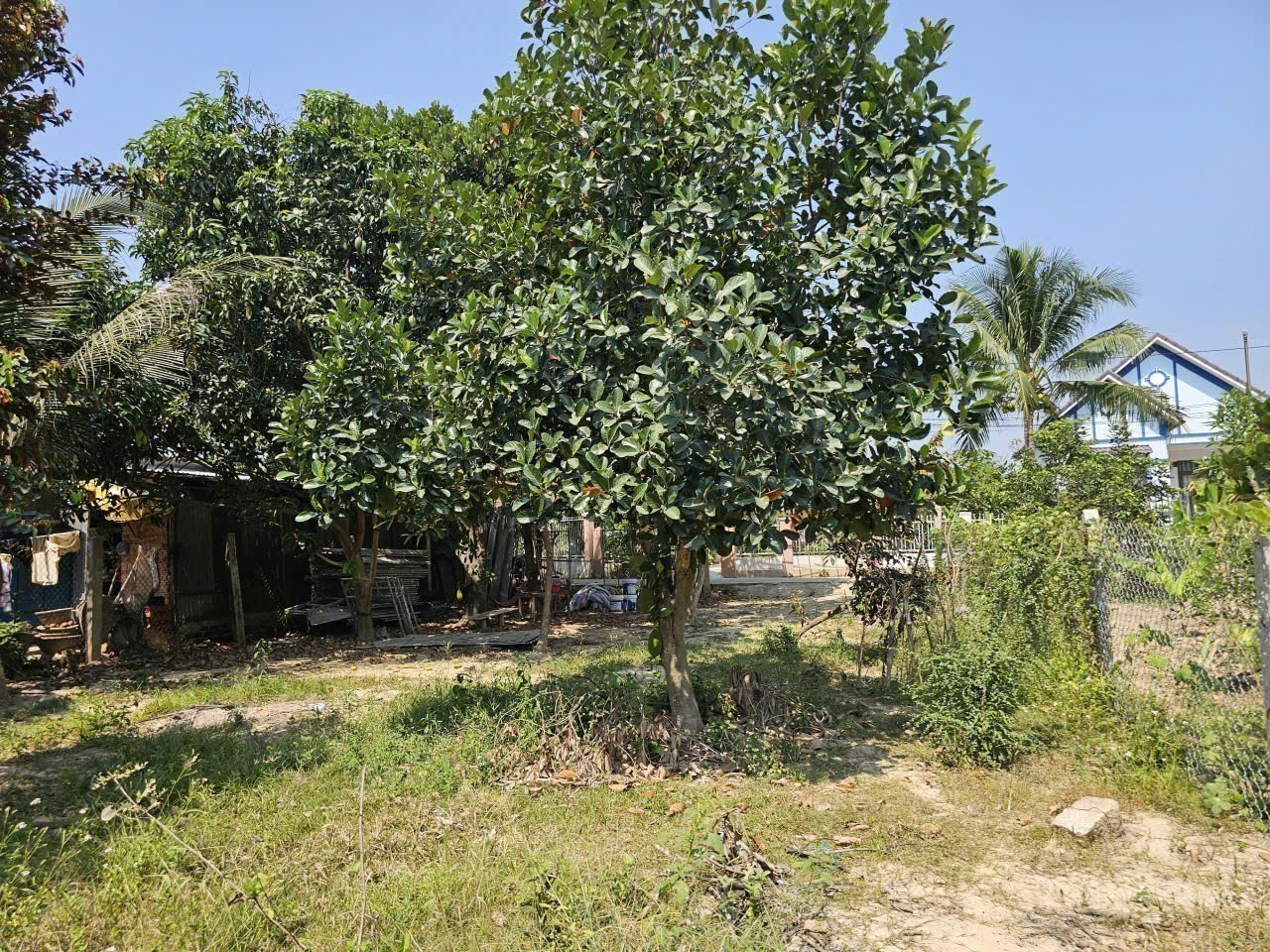 Bán đất Diên Lạc full thổ cư rộng rãi xây nhà vườn - vị trí đối diện ủy ban xã đi vào 9