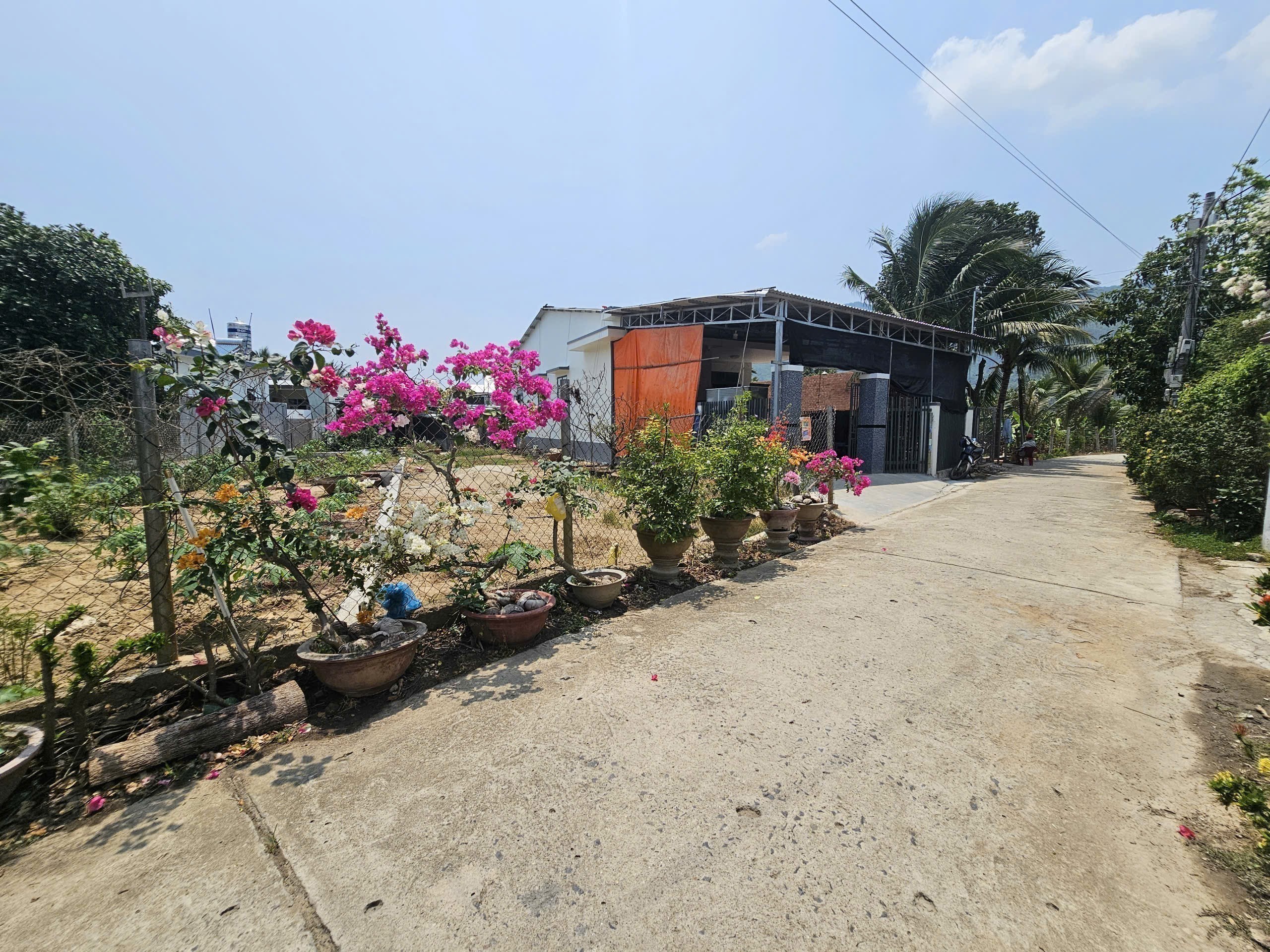 Bán đất Diên Toàn thôn Phước Trạch dân cắt sổ hồng riêng sổ hồng sẵn - đường thông 5