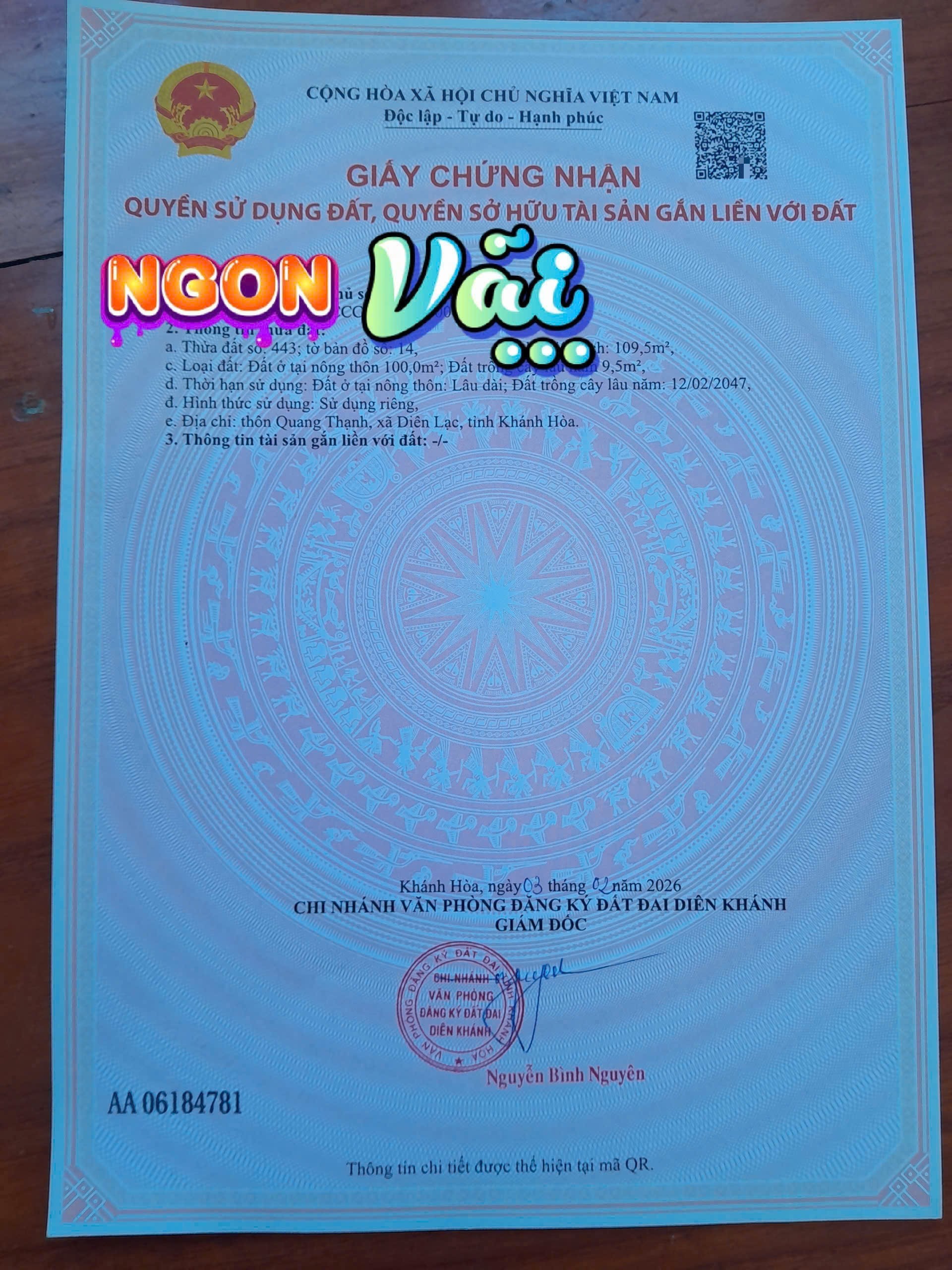 Bán đất Diên Hoà thôn Quang Thạnh đường Lạc Hoà 2 - dân cắt bán sổ hồng sẵn đường thông 10