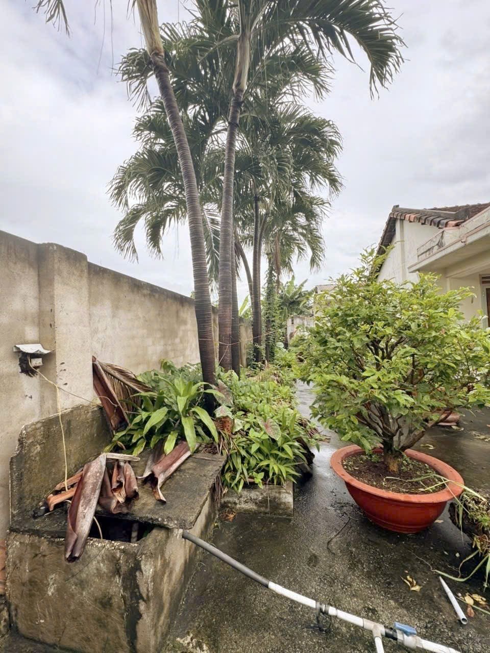 ĐẤT 175M2 MẶT TIỀN ĐÔNG MINH DĨ AN BÌNH DƯƠNG - XÂY KIOT VỪA CHO THUÊ VỪA LÀM NHÀ SÂN VƯỜN 3