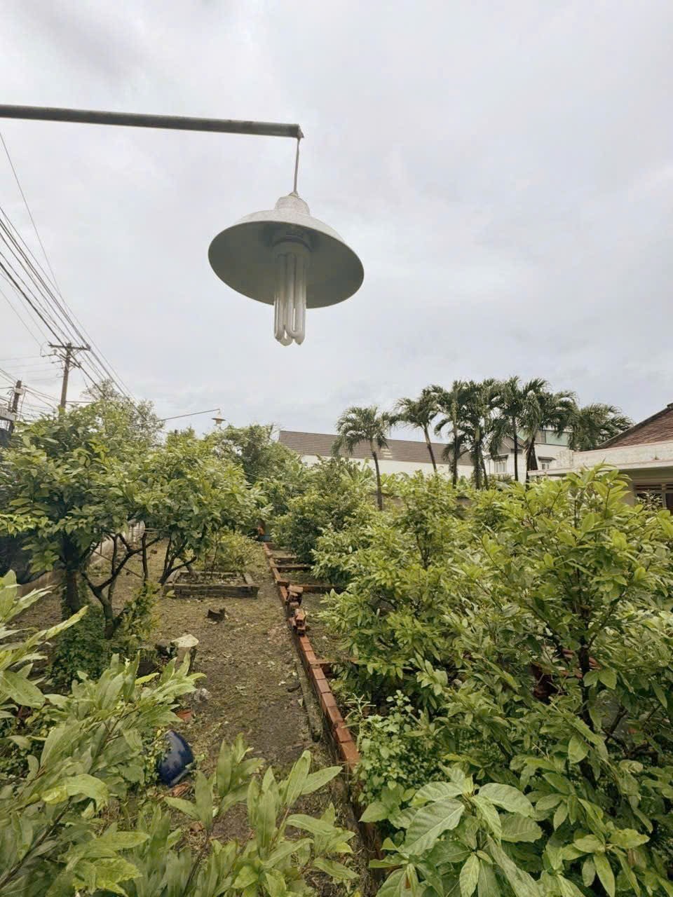 ĐẤT 175M2 MẶT TIỀN ĐÔNG MINH DĨ AN BÌNH DƯƠNG - XÂY KIOT VỪA CHO THUÊ VỪA LÀM NHÀ SÂN VƯỜN