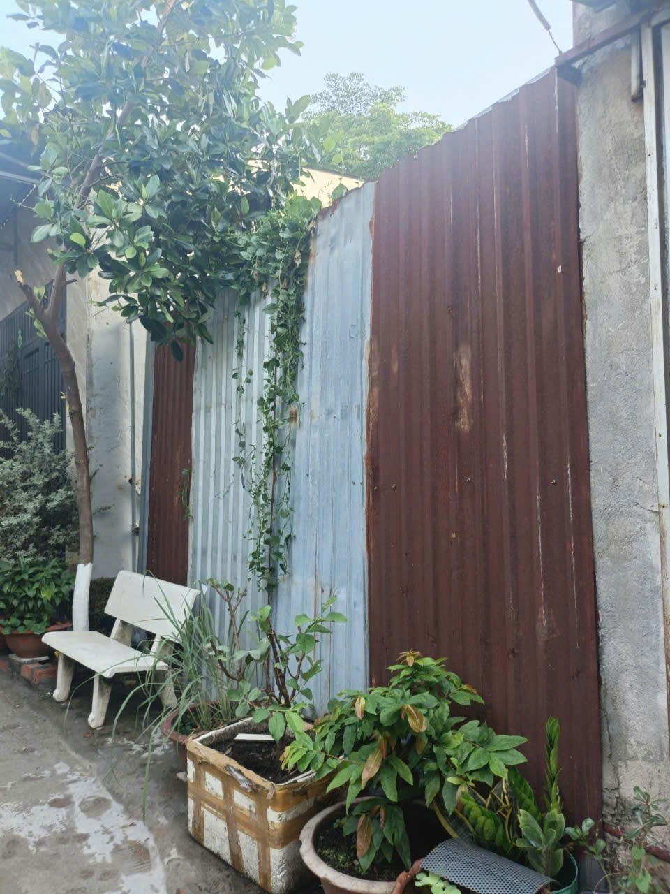 ĐẤT 42M DÂN CƯ HIỆN HỮU– ĐƯỜNG SỐ 4 ĐỐI DIỆN VẠN PHÚC CITY – HIỆP BÌNH PHƯỚC THỦ ĐỨC