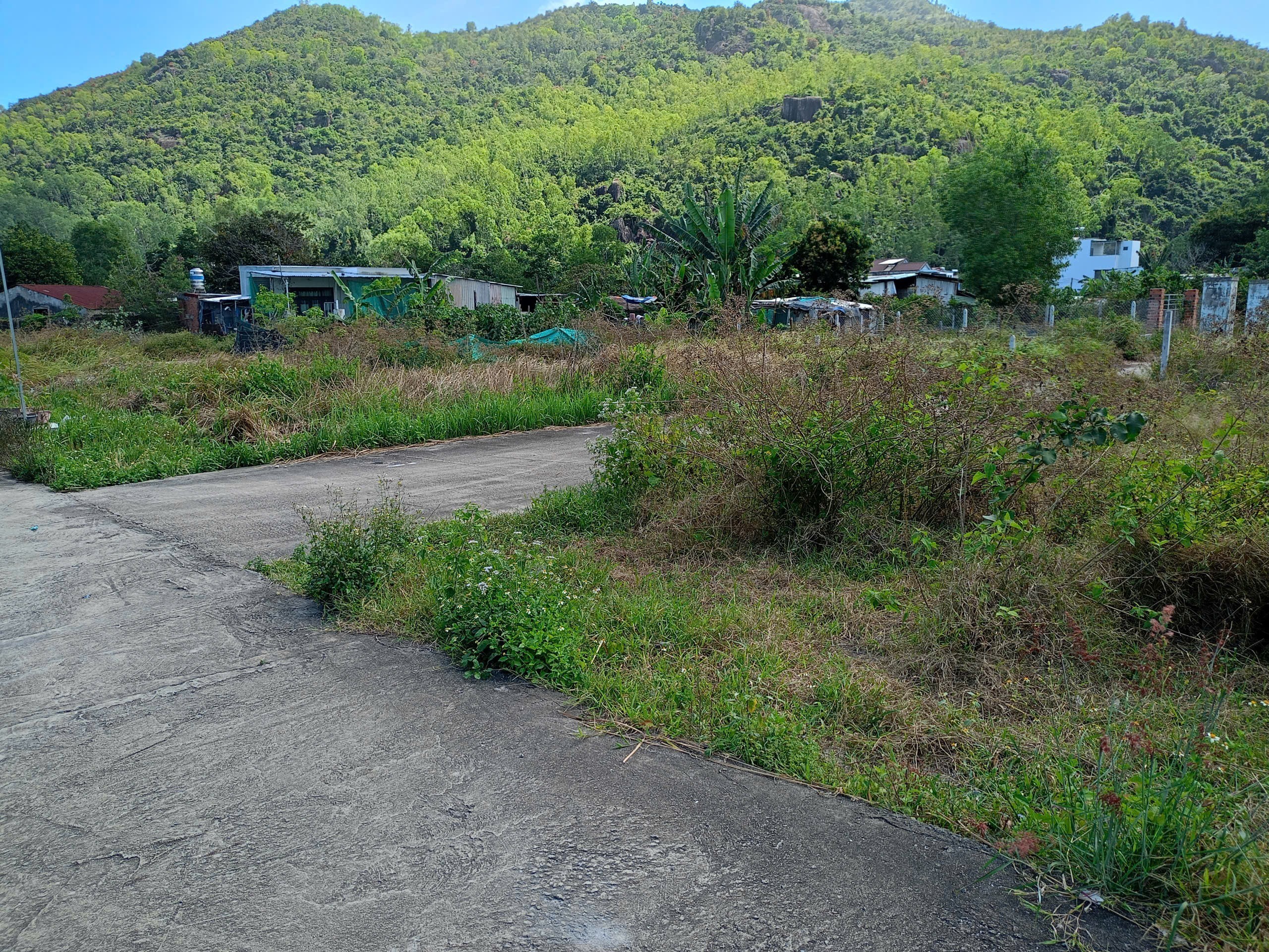 Lô Đất Góc 2 Mặt Tiền Đường Ngang Rộng 14m Gần Sân Golf Diamond Bay Nha Trang Giá chỉ 3ty8