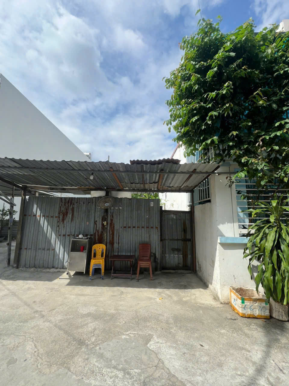 Bán Nhanh Đất Phước Long – 97.4m² Full Thổ – Ô Tô 5m – 5 Tỷ 3