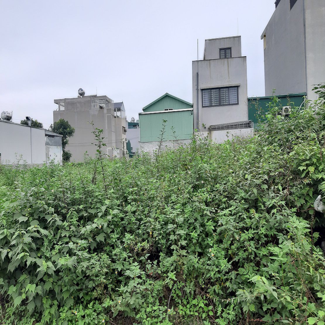 Bán đất Gia Lâm, Hà Nội, Kiêu Kỵ cũ. 66m2, mt 4,5m 7 chỗ thông 5 tỷ x. Lh 0989894845