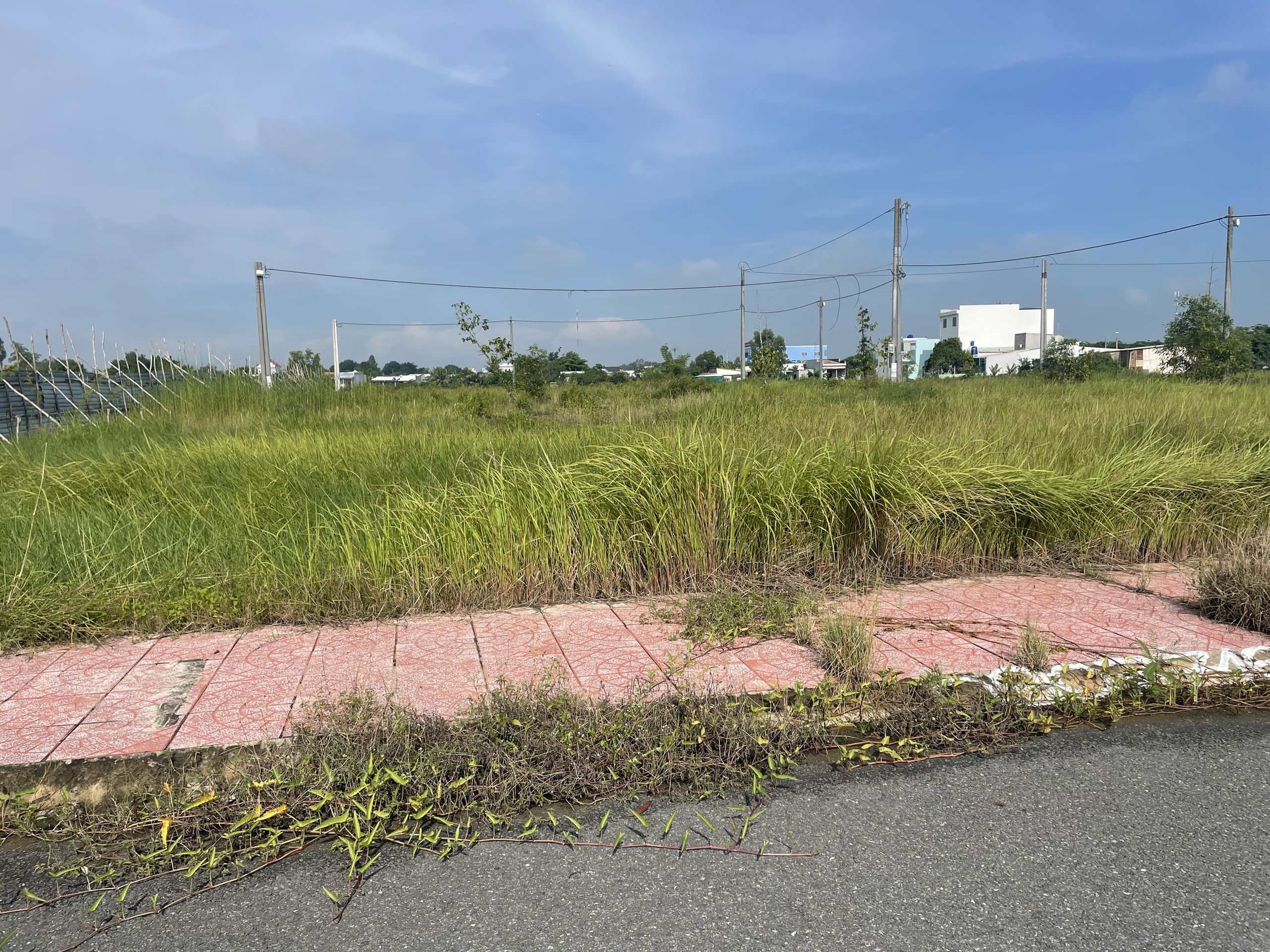 Đất nền 84m2 kdc 1B Chủ cần bán gấp giá đầu tư 890tr 2