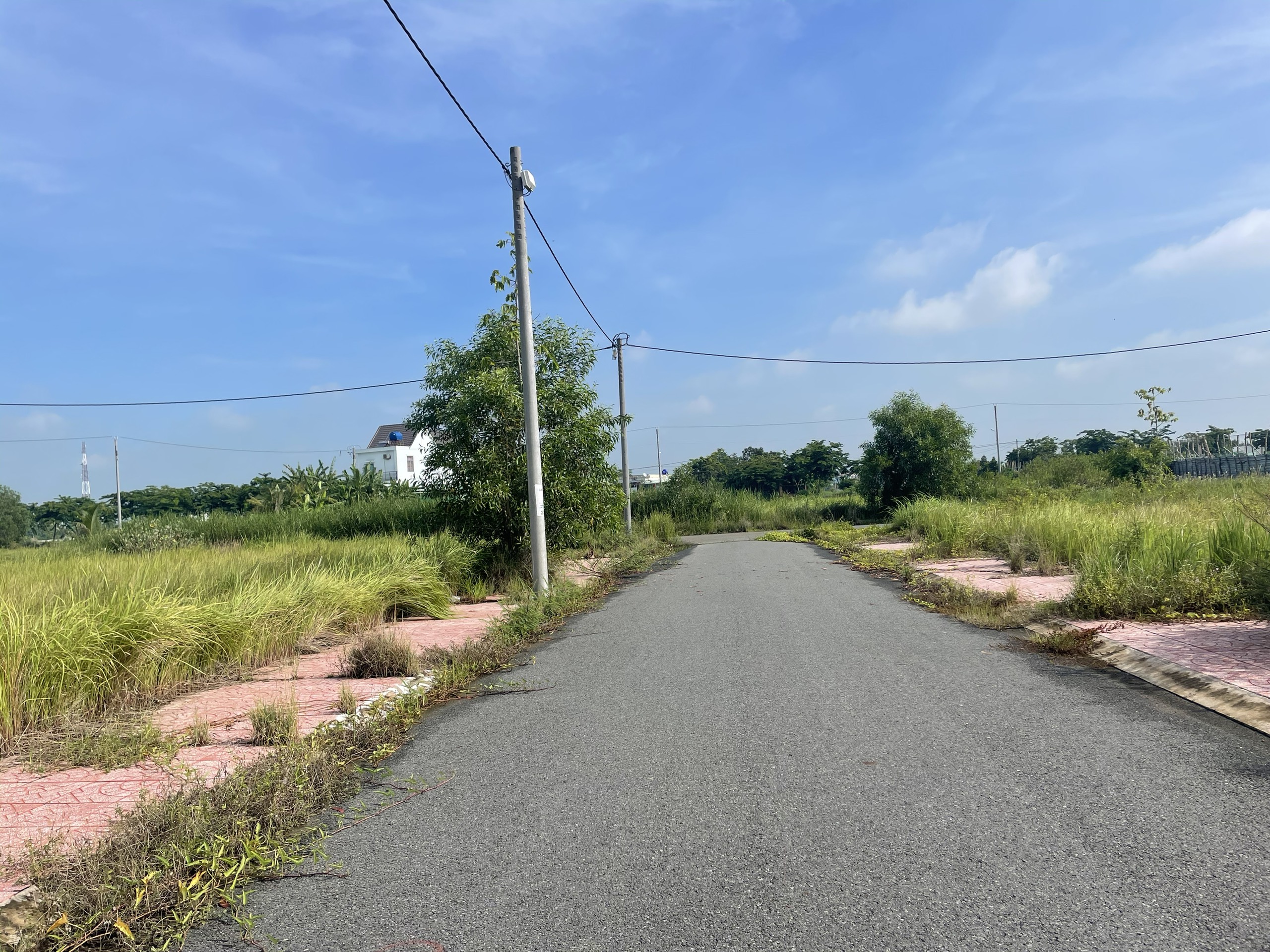 Đất nền 84m2 kdc 1B Chủ cần bán gấp giá đầu tư 890tr 3